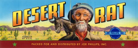 Desert Rat 